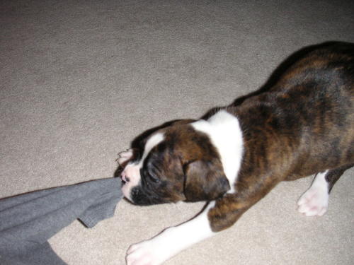 it's mine!