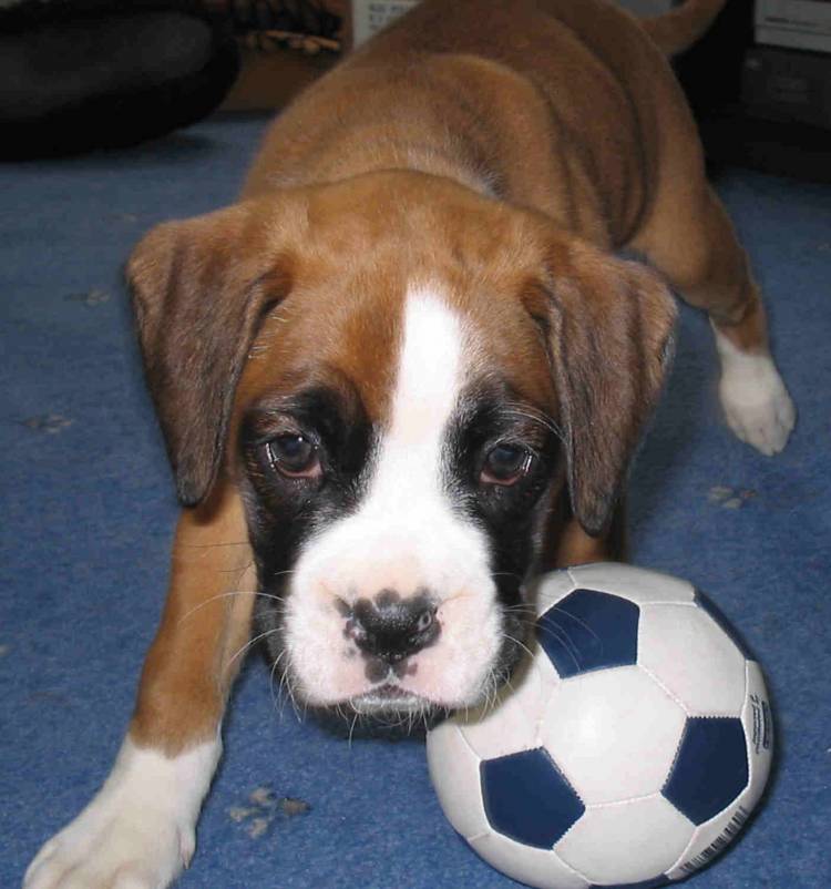 Its my Ball!!