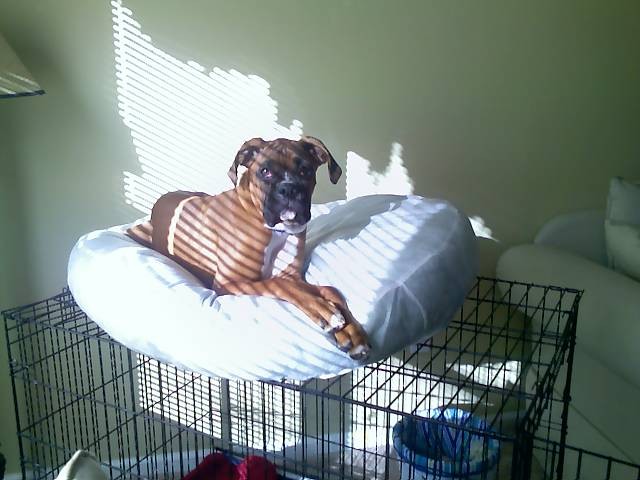 It's my bed, isn't it?