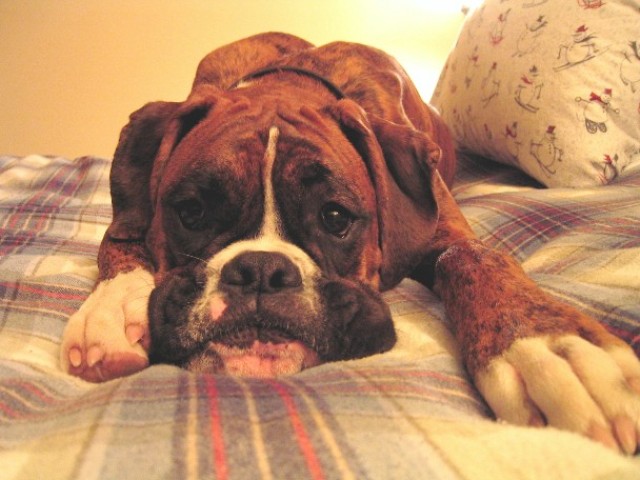 It's MY bed