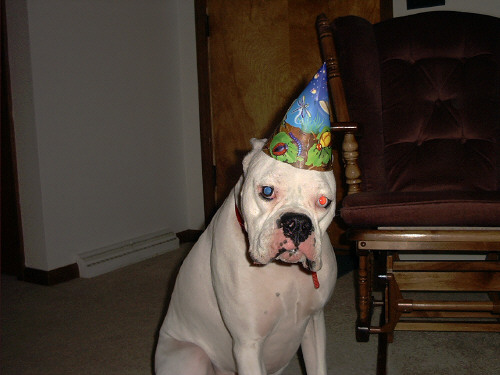 Its My Birthday!