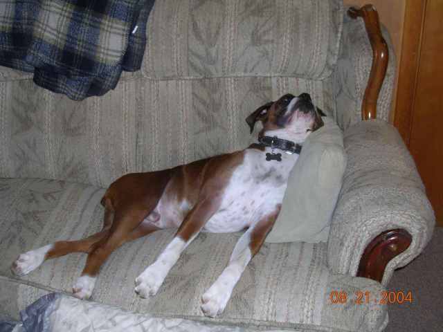 its my couch dad