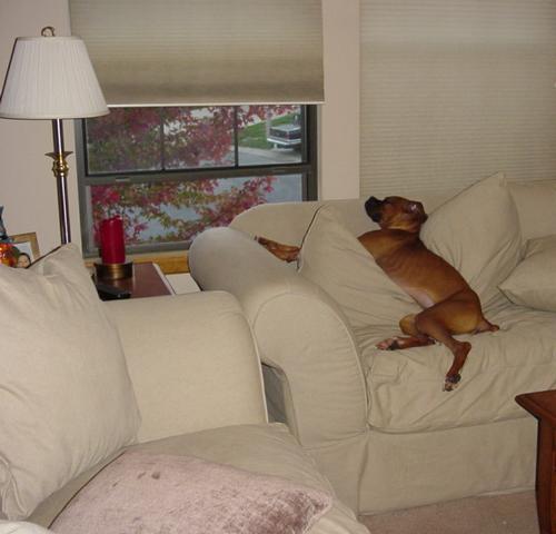 It's my couch now.