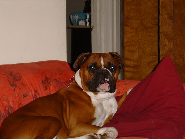 It's my couch!!