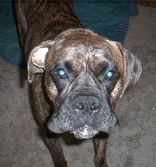 Its my party and I'll woo-woo if I want to....