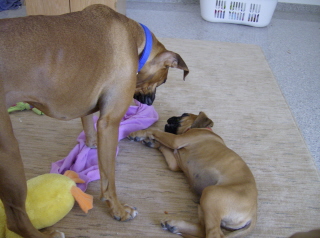 Its NOT nap time!!!