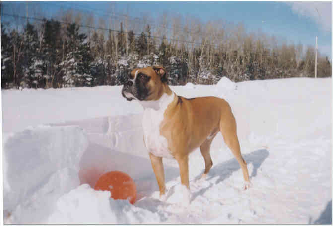 It's snow deep