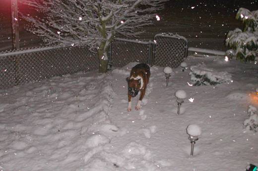 It's snowing again