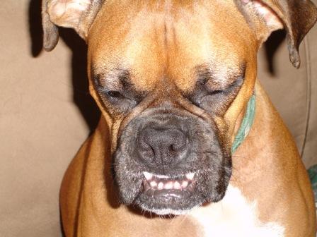it's too early for that darn flash...