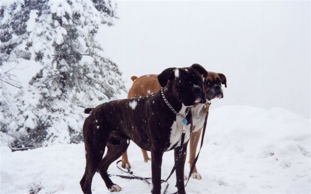 its_cold_out_mom