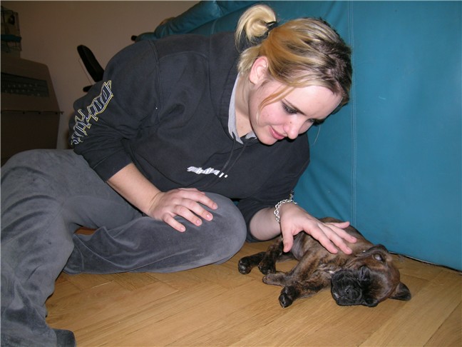 itty bitty Boxer