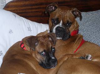 Jack and Bridget