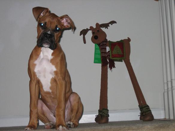 Jack and Friend