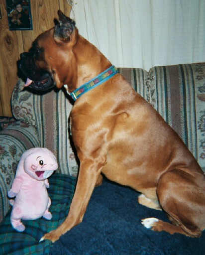 Jack and Rufus