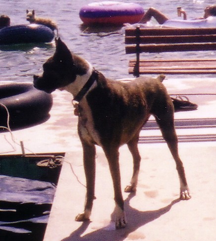Jack and the Lake