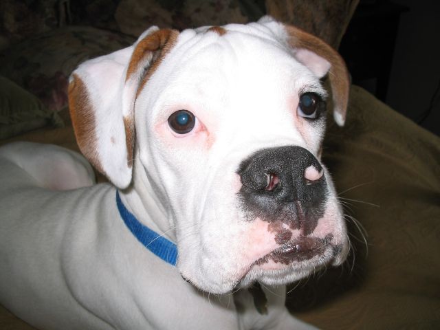 Jack at 8 months