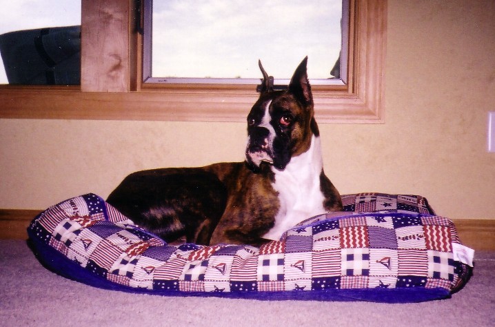 Jack in his bed