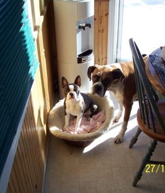 Jack & Indy
