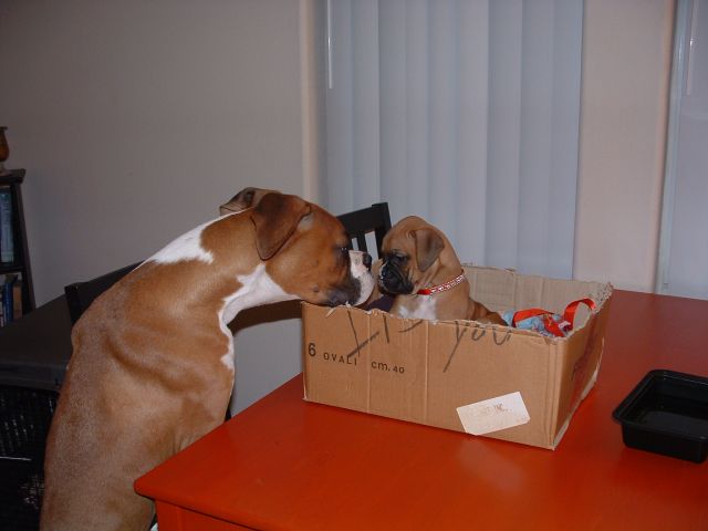 Jack meets his new sister Ruby