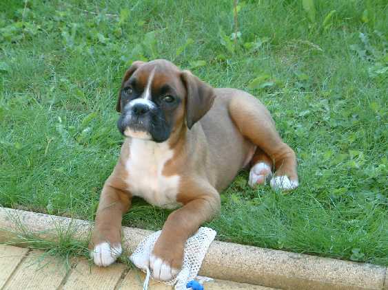 Jack1