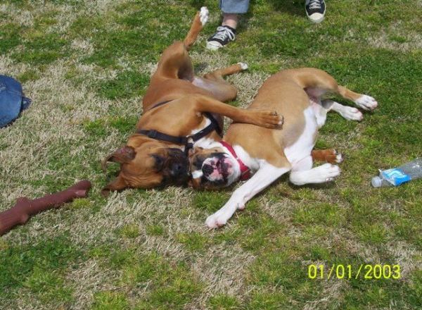 Jackie and Gracie