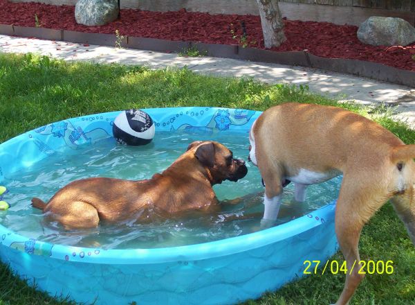 Jackie enjoying the water...lol..