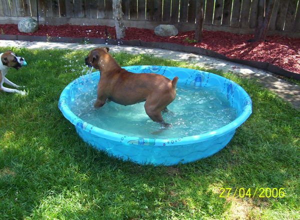 Jackie splashing around with Gracie...lol