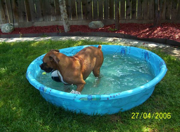 Jackie taking a dip in Gracie's pool