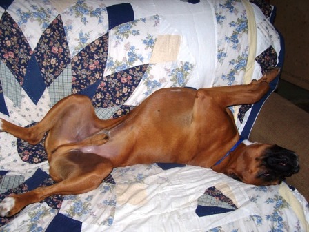 Jack's nap