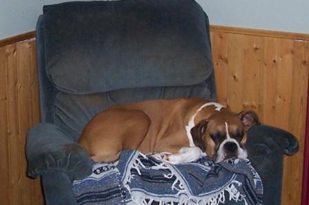 Jacks own Chair