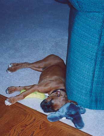 Jackson @ 11 weeks