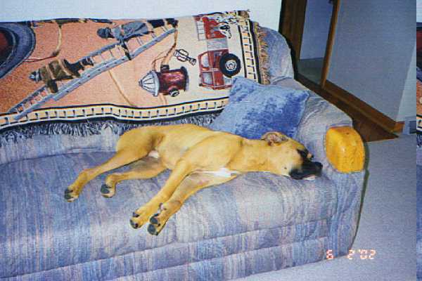 Jackson after an even harder day