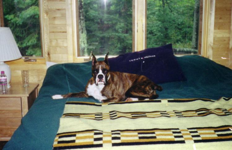 Jackson at the Cabin!
