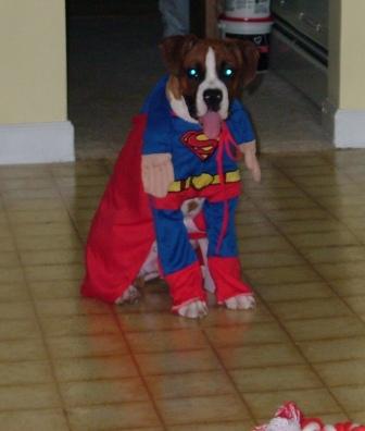 Jackson in his Halloween costume