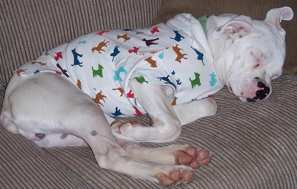 Jackson napping