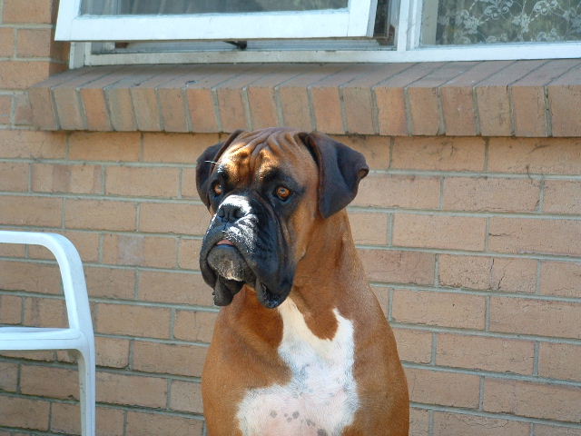 Jackson