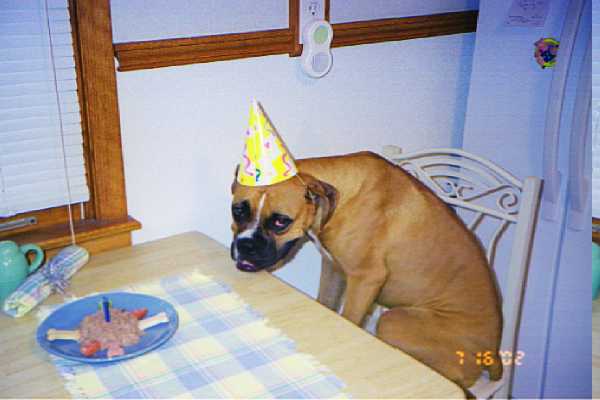 Jackson's 1st birthday!!!!!!!