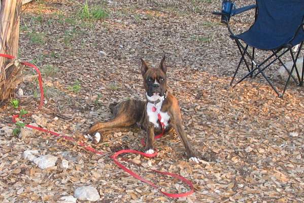 Jada 1st Camping trip, age 11 mo