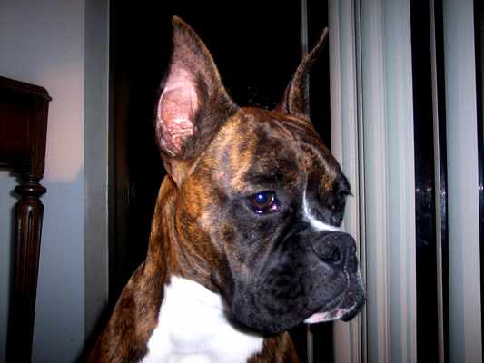 Jada age 7 mos