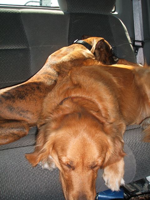 Jade and Auntie Gretchen on the way to the lake!