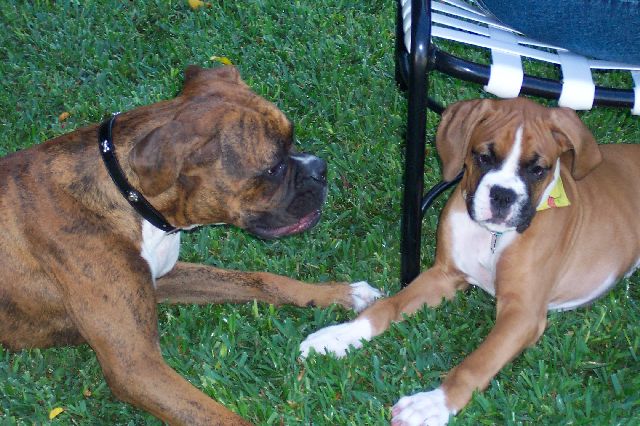 Jade and Charlie taking a break during play time