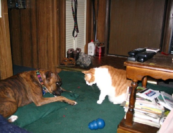 Jager and Kahlua