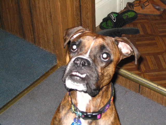 Jager at two years