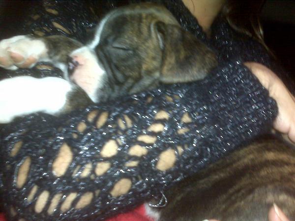 Jager sleeping