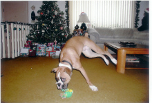 jagger playing