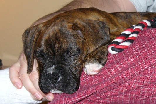 Jagger Sleeping (2 mos)