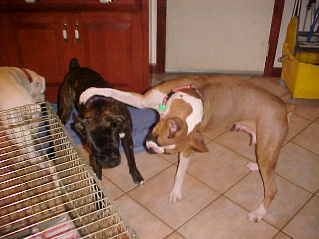 Jaimee and her foster sister