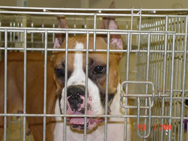 Jaimee in jail