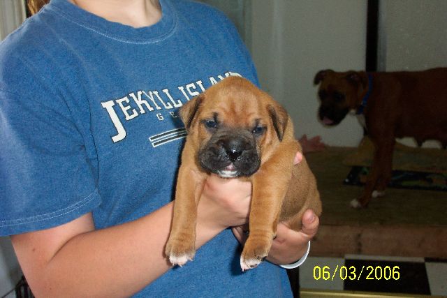 Jaizlin 3 weeks
