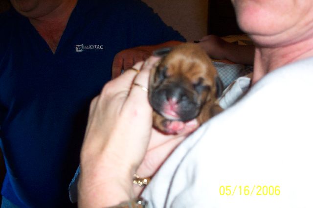 Jaizlin just born